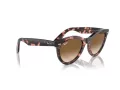 Ray-Ban Wayfarer Way Aurinkolasit RB 2241 133451