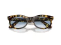Ray-Ban Wayfarer Oval Aurinkolasit RB 2242 13323F