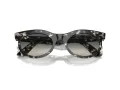 Ray-Ban Wayfarer Oval Aurinkolasit RB 2242 133371