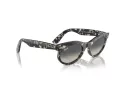 Ray-Ban Wayfarer Oval Aurinkolasit RB 2242 133371