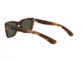 Ray-Ban Caribbean Aurinkolasit RB 2248 954/31