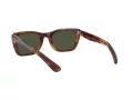 Ray-Ban Caribbean Aurinkolasit RB 2248 954/31