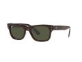 Ray-Ban Mr Burbank Aurinkolasit RB 2283 902/31