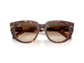 Ray-Ban Doreen Aurinkolasit RB 2286 141451