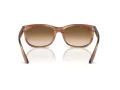 Ray-Ban Mega Balorama Aurinkolasit RB 2289 140351