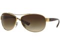 Ray-Ban Aurinkolasit RB 3386 00113