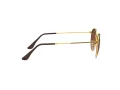 Ray-Ban Round Metal Aurinkolasit RB 3447 9001/A5