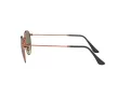 Ray-Ban Round Metal Aurinkolasit RB 3447 9002/A6