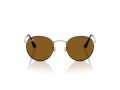 Ray-Ban Round Metal Aurinkolasit RB 3447 927533