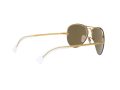 Ray-Ban Rb3449 Aurinkolasit RB 3449 001/2Y