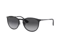 Ray-Ban Erika Metal Aurinkolasit RB 3539 002/8G