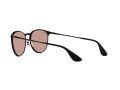 Ray-Ban Erika Metal Aurinkolasit RB 3539 002/Q4