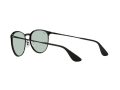 Ray-Ban Erika Metal Aurinkolasit RB 3539 002/Q5