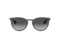 Ray-Ban Erika Metal Aurinkolasit RB 3539 192/8G