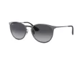 Ray-Ban Erika Metal Aurinkolasit RB 3539 192/8G