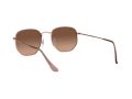 Ray-Ban Hexagonal Aurinkolasit RB 3548N 9069/A5