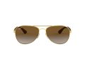 Ray-Ban Aurinkolasit RB 3549 001/T5