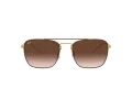Ray-Ban Aurinkolasit RB 3588 9055/13