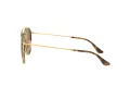 Ray-Ban Aurinkolasit RB 3647N 001/57