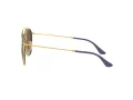 Ray-Ban Aurinkolasit RB 3647N 001/9U