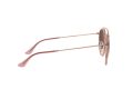 Ray-Ban Aurinkolasit RB 3647N 9069/A5