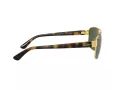 Ray-Ban Aurinkolasit RB 3663 001/31