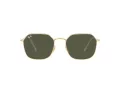 Ray-Ban Jim Aurinkolasit RB 3694 001/31