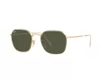Ray-Ban Jim Aurinkolasit RB 3694 001/31