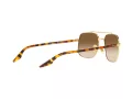 Ray-Ban Aurinkolasit RB 3699 001/51