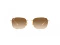 Ray-Ban Aurinkolasit RB 3706 001/51