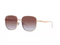 Ray-Ban Aurinkolasit RB 3713D 9202I8