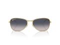 Ray-Ban Aurinkolasit RB 3733 001/78