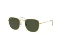 Ray-Ban Frank Aurinkolasit RB 3857 9196/31