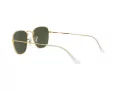 Ray-Ban Frank Aurinkolasit RB 3857 9196/31