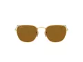 Ray-Ban Frank Aurinkolasit RB 3857 9196/33