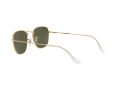 Ray-Ban Frank Aurinkolasit RB 3857 9196/58