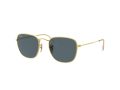 Ray-Ban Frank Aurinkolasit 3857 9196R5