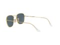 Ray-Ban Frank Aurinkolasit RB 3857 9196/R5