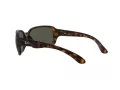 Ray-Ban Rb4068 Aurinkolasit RB 4068 894/58