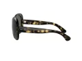 Ray-Ban Jackie Ohh Ii Aurinkolasit RB 4098 710/71