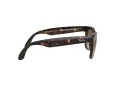 Ray-Ban Folding Wayfarer Aurinkolasit RB 4105 710/51