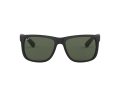 Ray-Ban Justin Aurinkolasit 4165 601/71