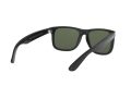 Ray-Ban Justin Aurinkolasit 4165 601/71