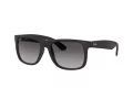 Ray-Ban Justin Aurinkolasit RB 4165 601/8G