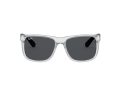 Ray-Ban Justin Aurinkolasit RB 4165 651287