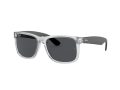 Ray-Ban Justin Aurinkolasit RB 4165 651287
