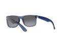 Ray-Ban Justin Aurinkolasit RB 4165 6596T3