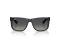 Ray-Ban Justin Aurinkolasit RB 4165 681311