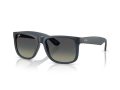 Ray-Ban Justin Aurinkolasit RB 4165 681311