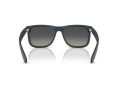 Ray-Ban Justin Aurinkolasit RB 4165 681311